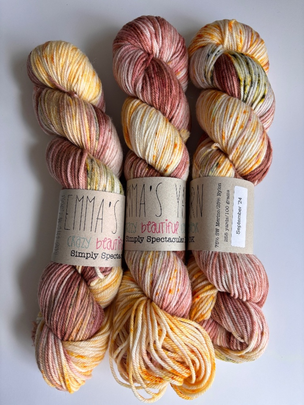 Emma's Simply Spectacular DK Yarn Skeins in September '24 color